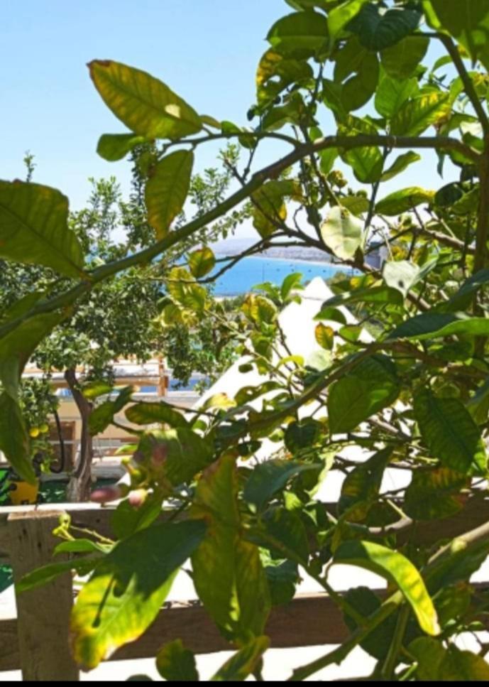 Queens Luxury Glamping Παλαιόκαστρο Εξωτερικό φωτογραφία