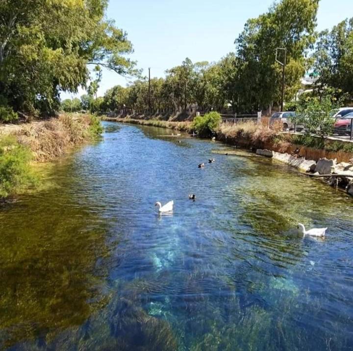 Queens Luxury Glamping Παλαιόκαστρο Εξωτερικό φωτογραφία