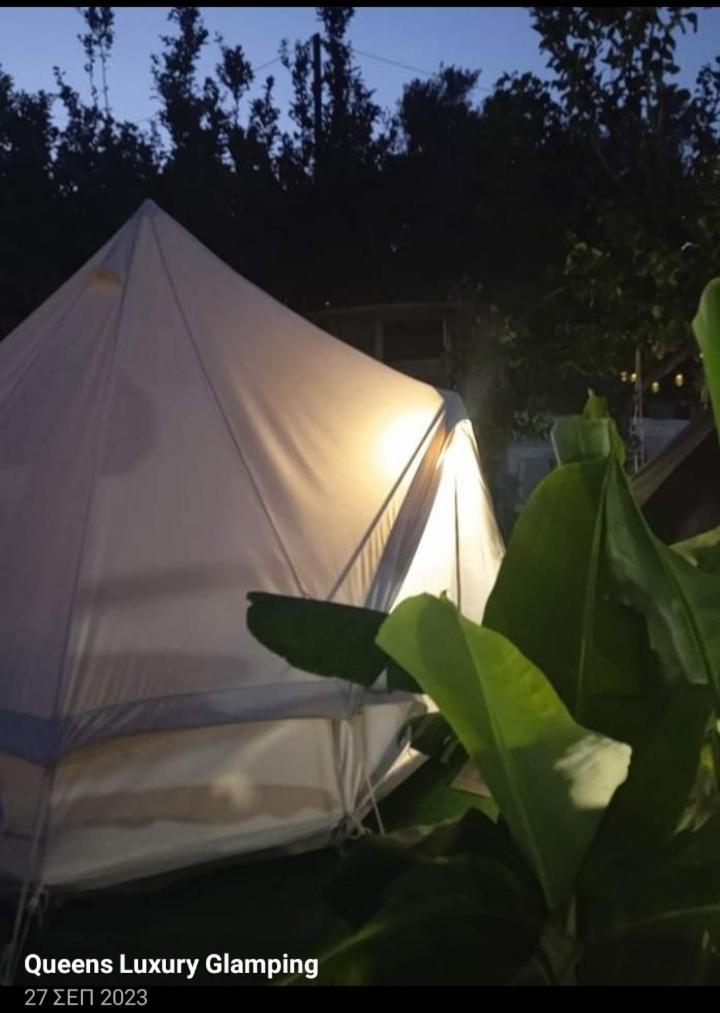 Queens Luxury Glamping Παλαιόκαστρο Εξωτερικό φωτογραφία