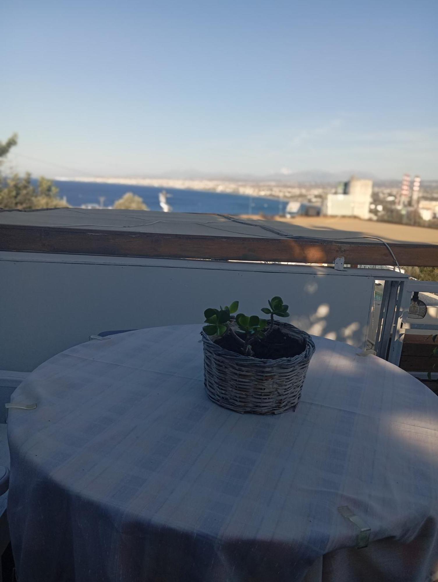 Queens Luxury Glamping Παλαιόκαστρο Εξωτερικό φωτογραφία