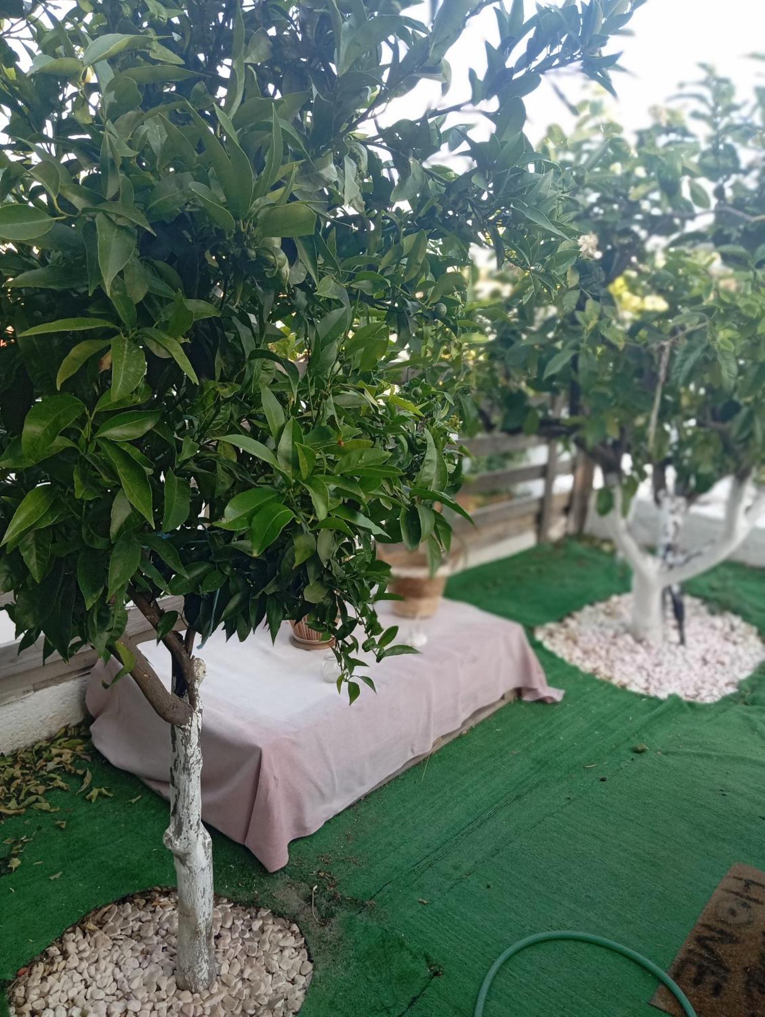 Queens Luxury Glamping Παλαιόκαστρο Εξωτερικό φωτογραφία