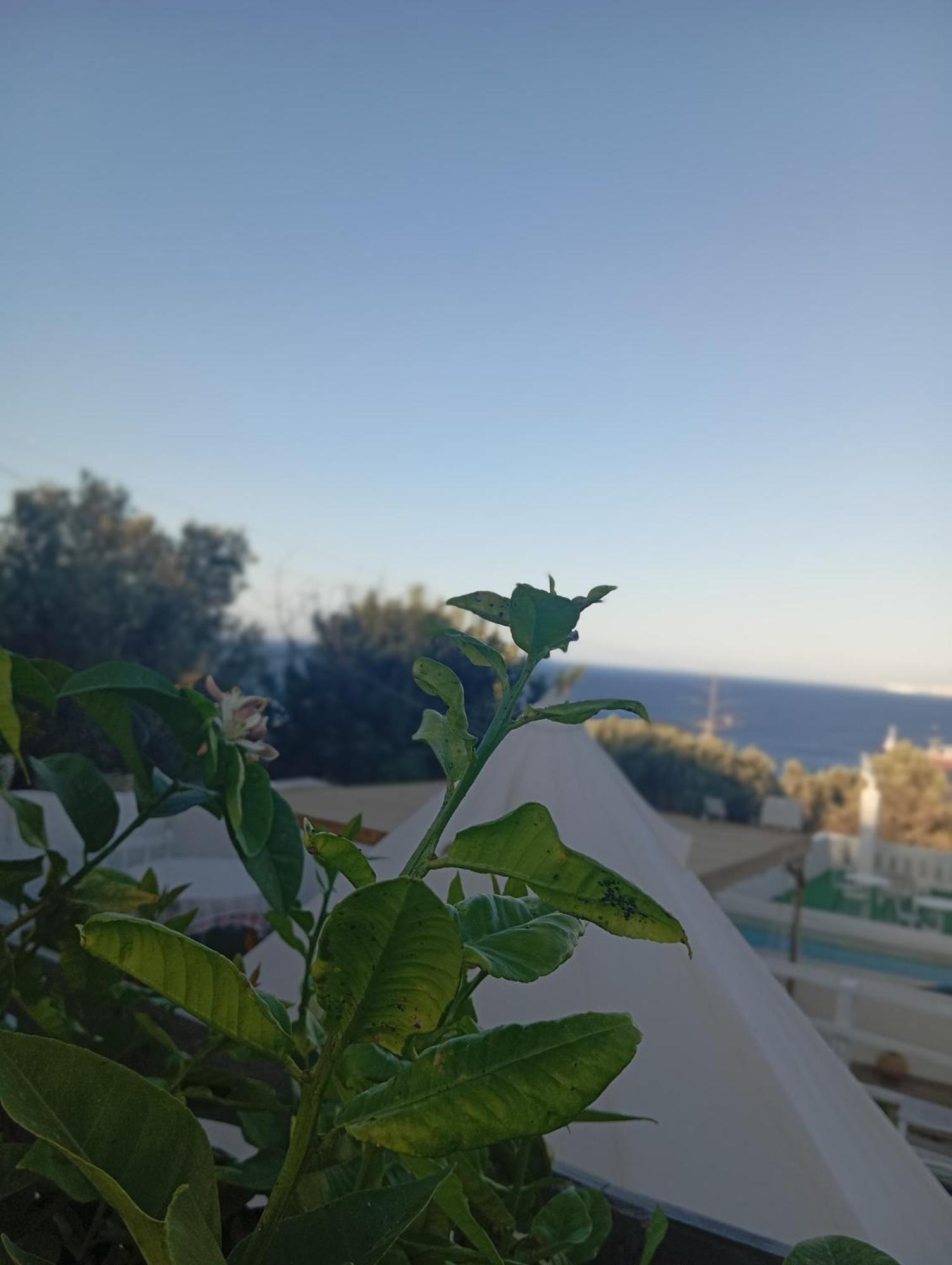 Queens Luxury Glamping Παλαιόκαστρο Εξωτερικό φωτογραφία