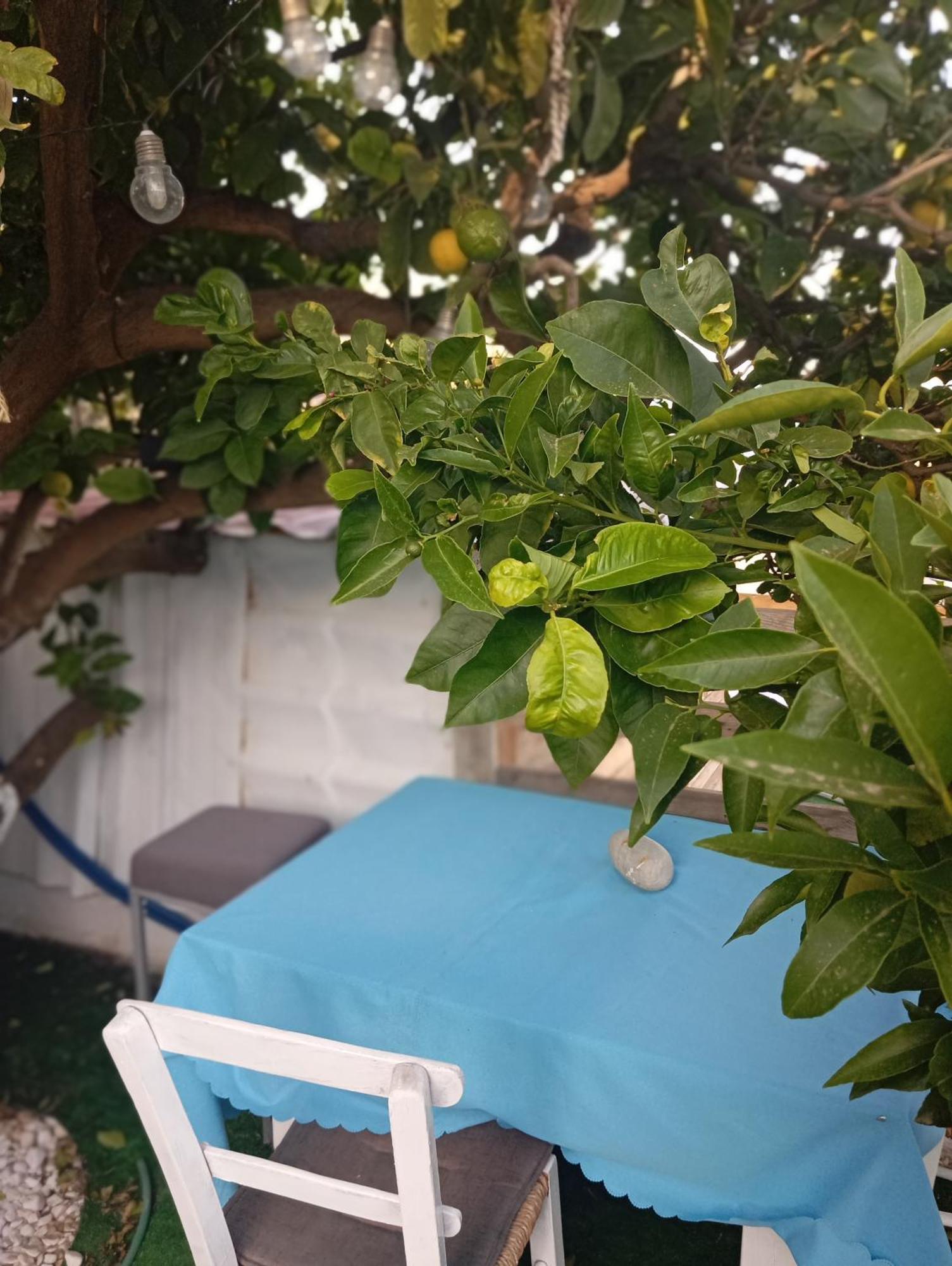 Queens Luxury Glamping Παλαιόκαστρο Εξωτερικό φωτογραφία