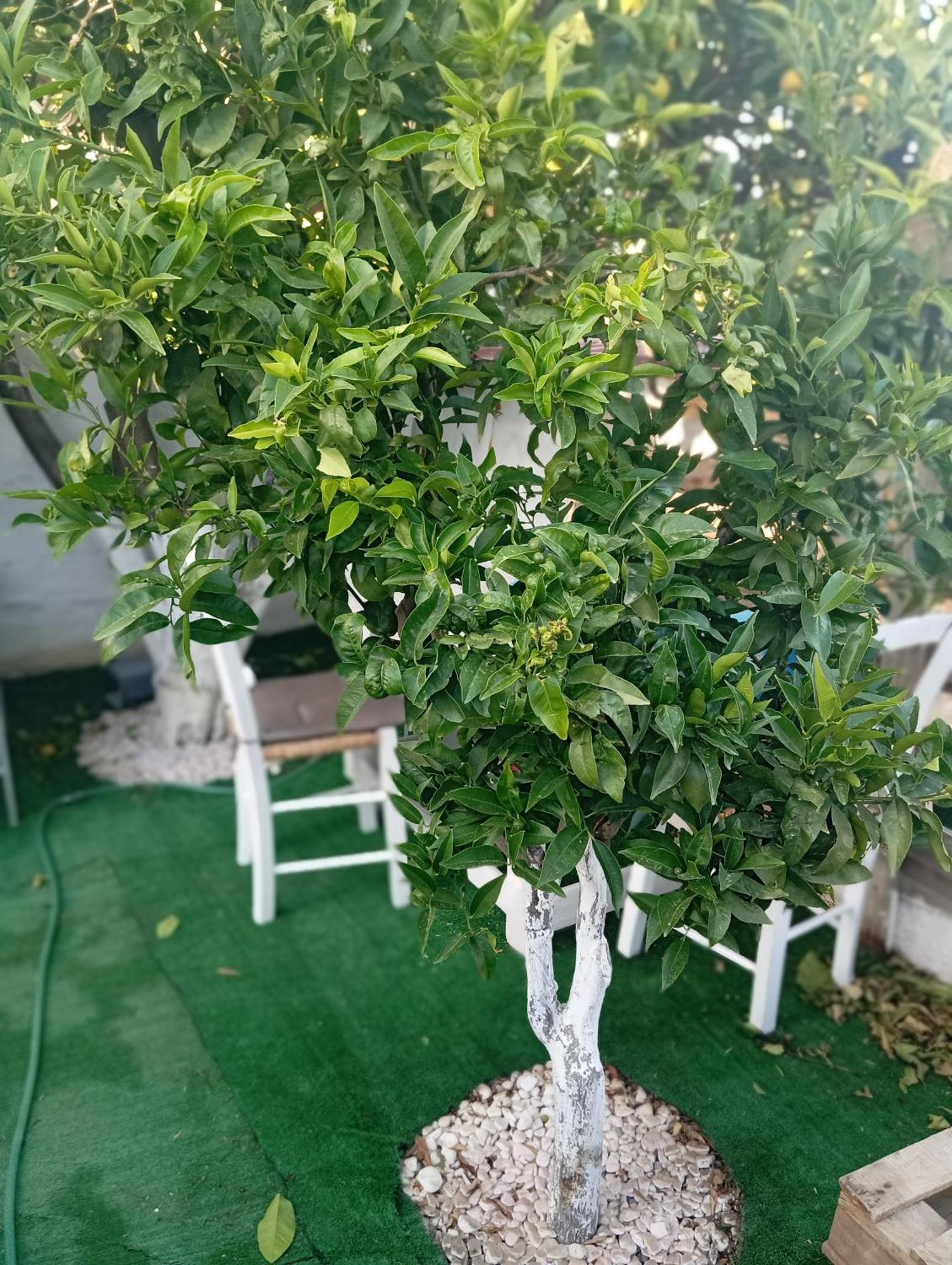Queens Luxury Glamping Παλαιόκαστρο Εξωτερικό φωτογραφία