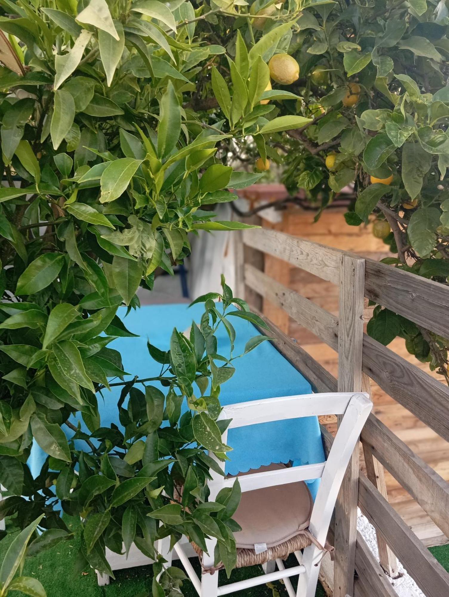 Queens Luxury Glamping Παλαιόκαστρο Εξωτερικό φωτογραφία